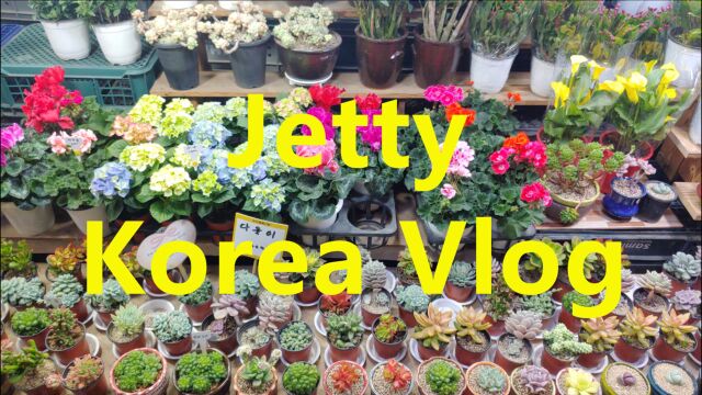 【Jetty韩国vlog】2月底3月初的琐碎日常/期望高失望大的盐焗鸡 /第一次打桌球还挺有意思的 /10块一盘超性价旋转寿司