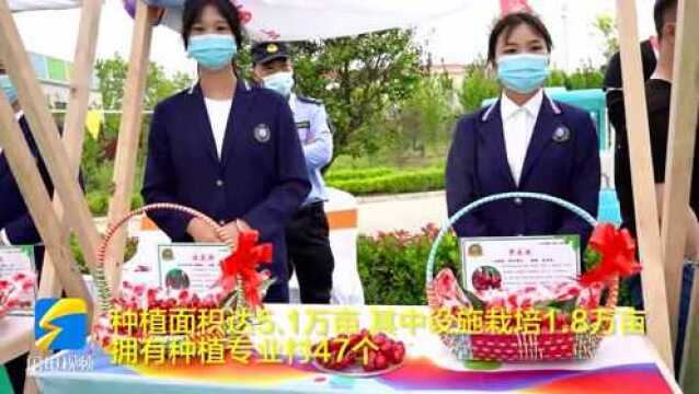 第二届中国大樱桃产业文化节暨首届青岛缤纷水果节在平度开幕