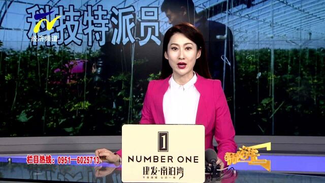 【阳光关注】宁夏科特派打造网格化全覆盖服务模式