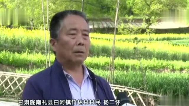 【中国三农报道】甘肃礼县:乡村“扶贫夜校”再升级