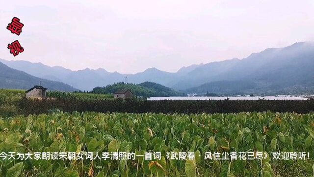 今天朗读一首宋朝女词人李清照的词《武陵春ⷮŠ风住尘香花已尽》