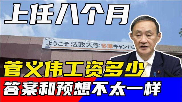 上任8个月,菅义伟工资涨了多少?答案和预期不太一样