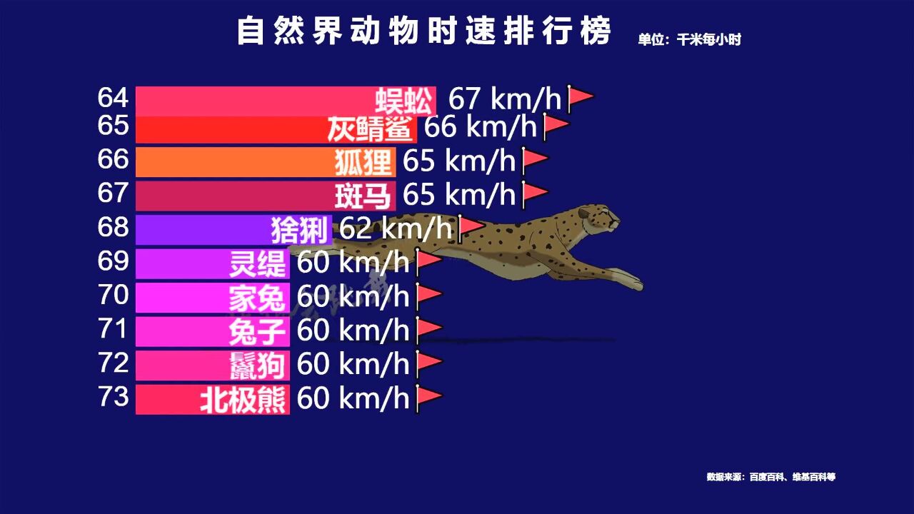 自然界动物速度排行榜,人类倒数,猎豹未进前十,看看谁才是速度之王?