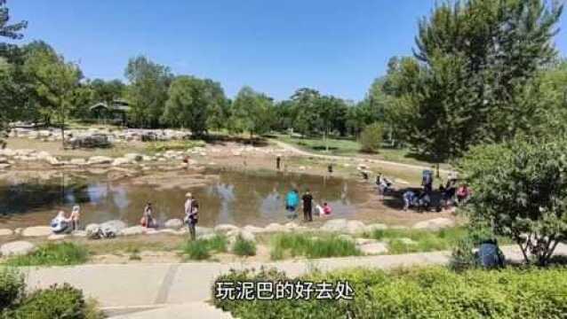 北京东小口休闲城市公园 看花和溜娃的圣地