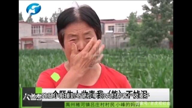 跑腿小哥接到奇葩订单,回农村帮客户收麦子,背后隐情惹老人落泪