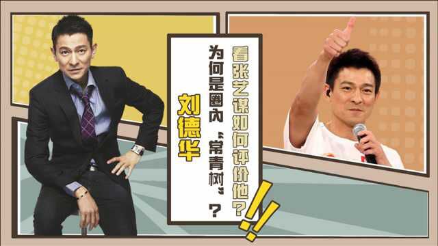 刘德华为何是圈内“常青树”?过硬人品和不懈努力成就自己