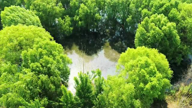 邹城市入选自然资源领域生态产品价值实现国家级试点