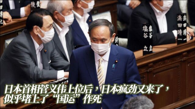 日本首相菅义伟上位后,日本疯劲又来了,似乎堵上了“国运”作死