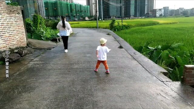 肇庆怀集美丽家乡风景,雨后田园生活空气清新,带你一起来欣赏