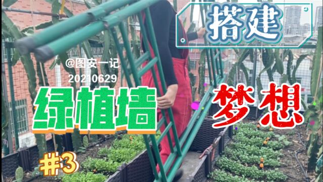 【图安一记】搭建梦想绿植墙(3)妙用上下铺