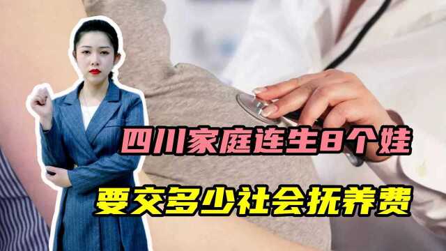 四川家庭生育8个子女,被征收社会抚养费9万,怎么算出来的?#“知识抢先知”征稿大赛#