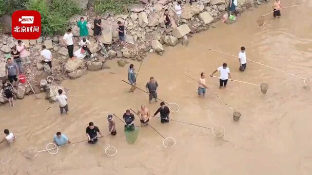 黄河小浪底泄洪再现流鱼奇观 数百人湍急河水中冒险逮鱼