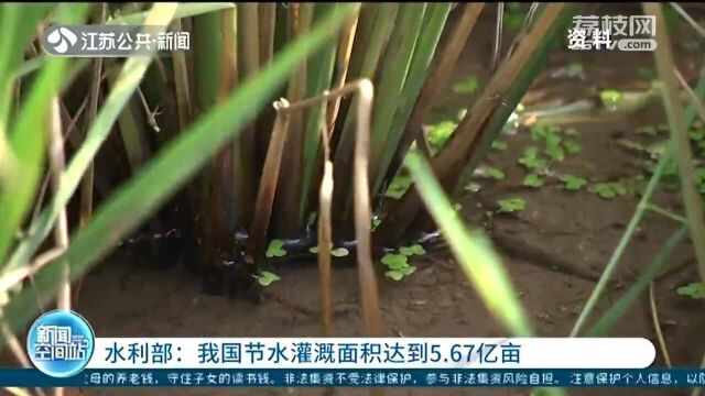 水利部:我国节水灌溉面积达到5.67亿亩