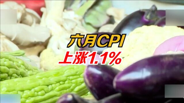 6月CPI同比上涨1.1%