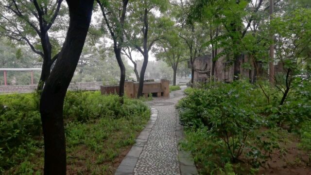 东风街道,雨后一角,走出家门看黄河.