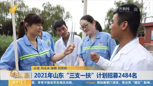 计划招募2484名高校毕业生!2021年山东“三支一扶”招募公告发布