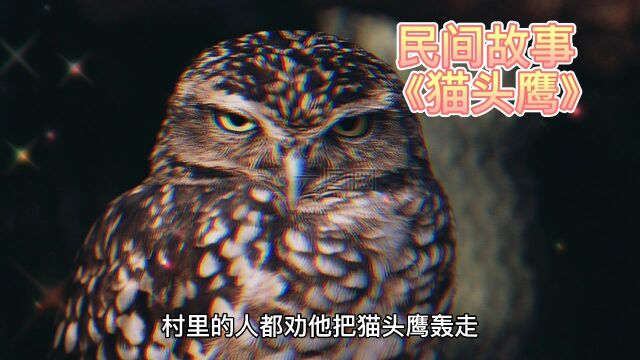 民间故事:猫头鹰