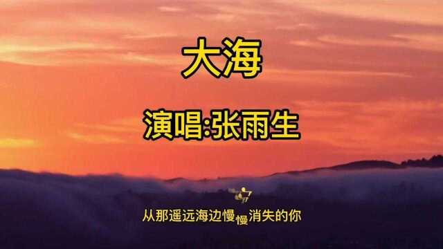 经典歌曲《大海》张雨生成名曲