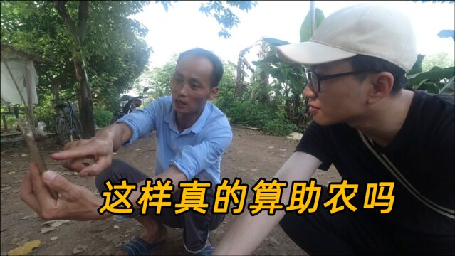 “助农”网红帮农民卖货,结果卖的更贵了