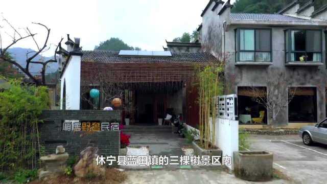 民宿里的中国美式乡村碰撞徽式建筑?黄山脚下最酷炫的民宿来啦