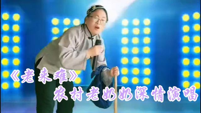 农村老奶奶演唱《老来难》,太难了唱哭全场观众!