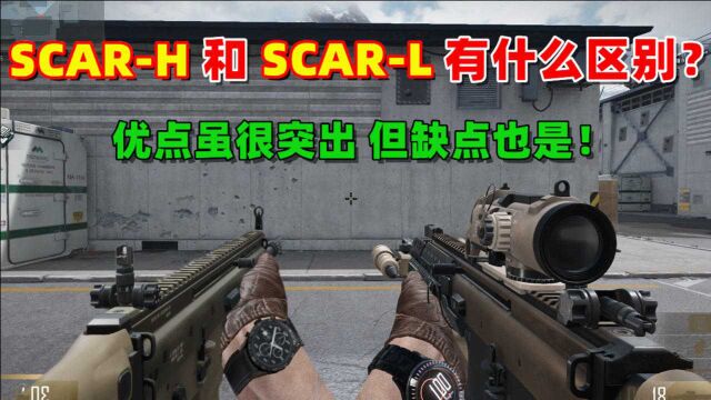 【CFHD趣味实验】SCARH 和 L 有什么区别?重型版丨轻型版