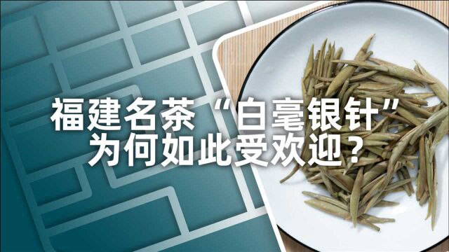 小喜年:被称为“茶中美人”的白毫银针,为何会如此受欢迎?