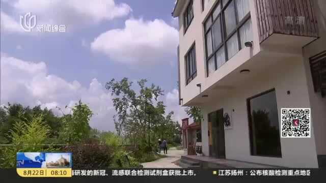 金山廊下:网红村“出圈”成为打卡胜地