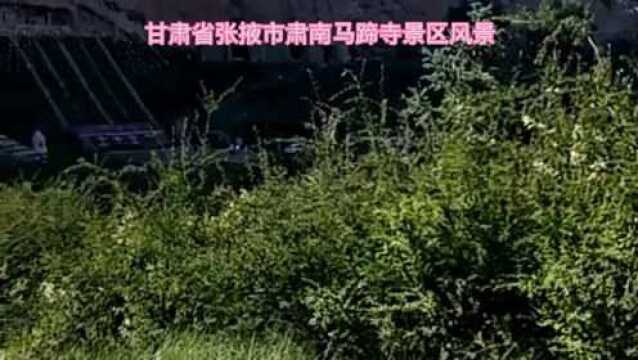 一路走来,最好的风景还是在路上!