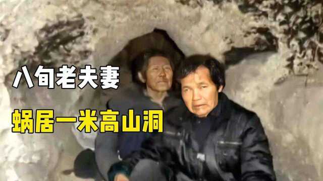 八旬夫妻蜗居一米高山洞,与猫狗同吃同住,富豪儿子为何七年未归