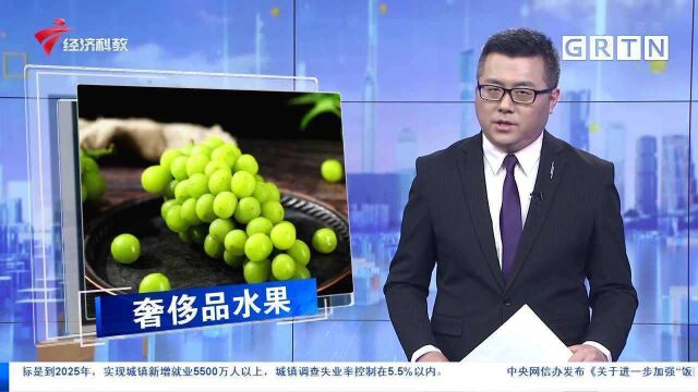 阳光玫瑰葡萄成地摊货 每斤300元跌到10元?