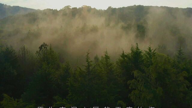 洛阳栾川王府竹海度假旅游区(四)