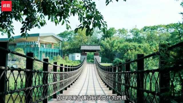 千年古镇乘上“社治东风”| 邻聚中心引领村民变市民