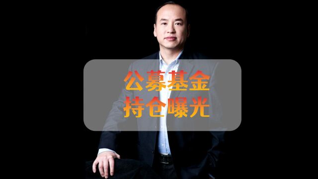 公募基金持仓曝光,你抓住机会了吗?