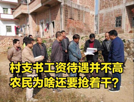 村支书的工资待遇并不高,农民为什么还要抢着干?