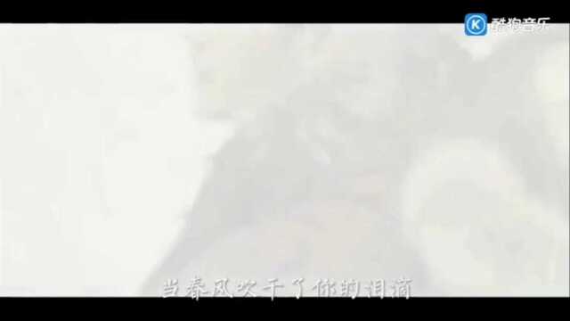 听雨往事如昔!倾诉心曲!释放情怀!岁月无言𐟎𖰟Ž𙢘•𐟌𚀀