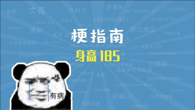 身高185是什么梗【梗指南】