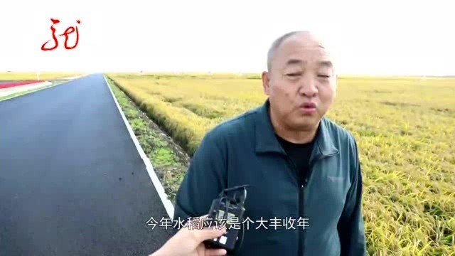 富锦:稻花香里说丰年