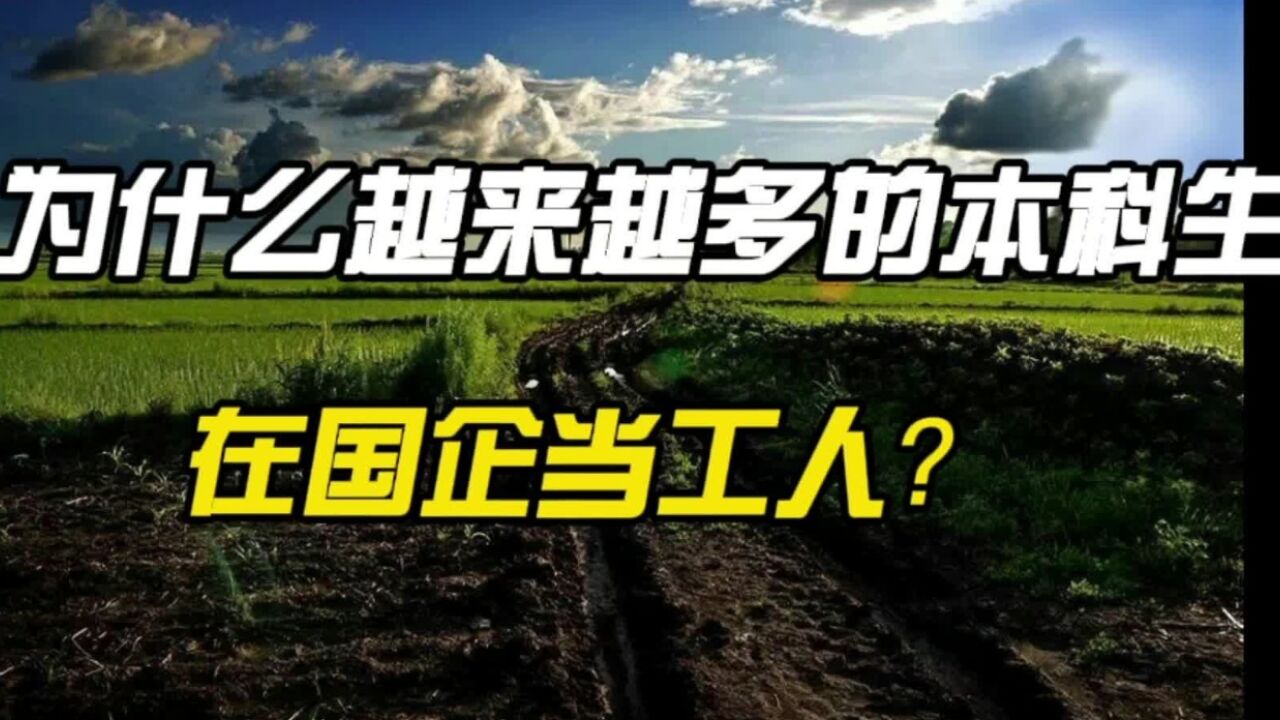 为什么越来越多的本科生,在国企当工人?