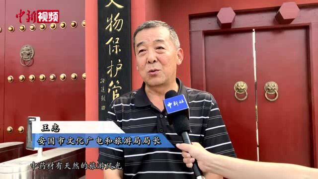 “千年药都”安国:拓展中医药应用领域发展康养体验游