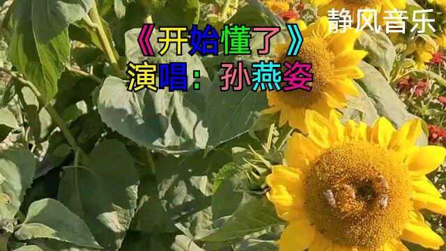 歌曲《开始懂了》演唱:孙燕姿