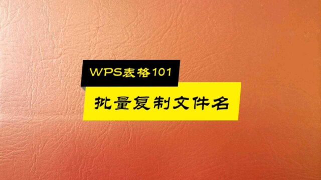 WPS表格101:批量复制文件名