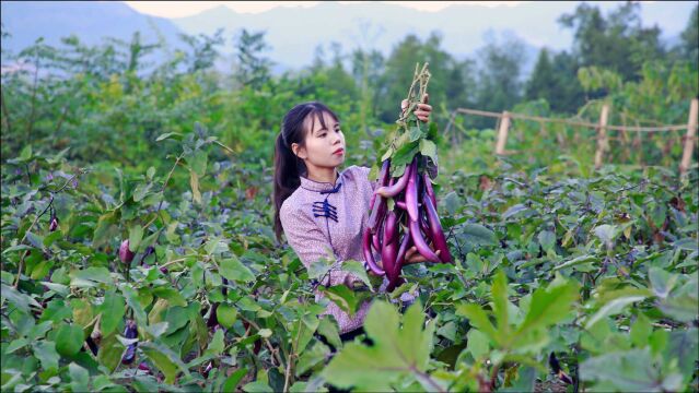 茄子迎来大丰收,摘下满满一筐烹饪美味的茄子宴