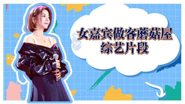 新疆美女维妮被黄磊夸赞美,金玟岐劈柴惊呆张杰,女嘉宾做客蘑菇屋综艺片段