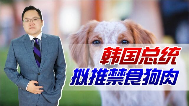 禁止吃狗肉?韩国自古就有吃狗肉习俗,如今为何要违背祖宗的决定