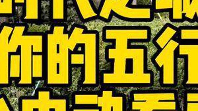 听说这个公园成本核到30个多个亿那咱还差一