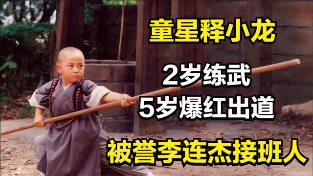 童星释小龙:2岁练武,5岁爆红出道即巅峰,被誉李连杰接班人!