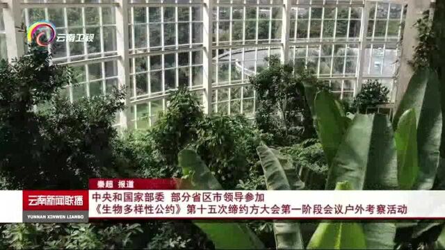 中央和国家部委 部分省区市领导参加 《生物多样性公约》第十五次缔约方大会第一阶段会议户外考察活动