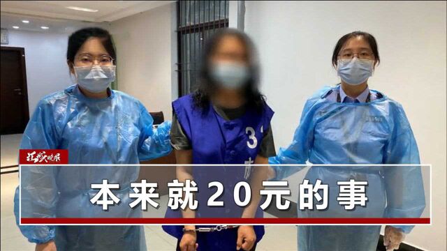 南京一女子拒交20元罚款,躺地上撒泼打滚还咬伤民警,获刑八个月