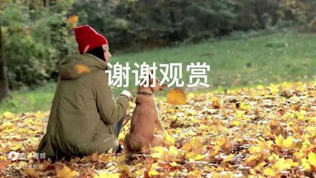 余秋雨深情散文诗《我在等你》情深深几许,等你到来生!𐟍‚𐟍‚𐟍‚